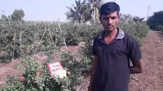 Tropical Agro System