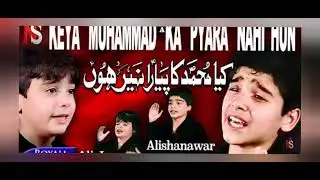 Kiya Muhammad Ka Pyara Nahi Hun | AliShanawar & Ali Jee