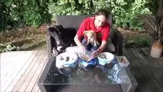 SkidStop Slow feed bowls