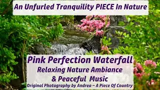 Relaxing Nature Sounds & Peaceful Music ~ Pink Perfection Waterfall ~ 4K Original Photography