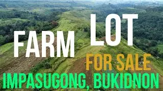 10 Hectares Farm Lot for Sale in Impasugong, Bukidnon