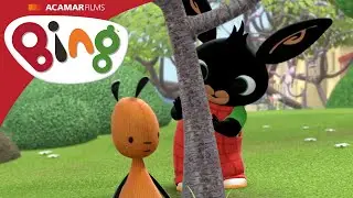 Hiding | Bing Full Episode | Bing English