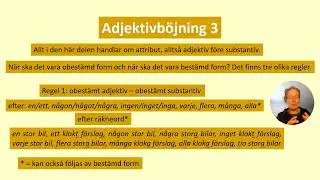Adjektivböjning 3