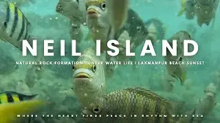 Neil Island | Underwater Life | Natural Rock Formation | Laxmanpur Beach | Cinematic Travel Vlog