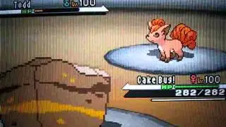 Pokemon B/W Battle #52: ThePsh07 Vs. RobotnikIsSexy (UnderUsed)