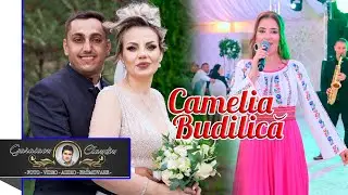 CAMELIA BUDILICA ❌ COLAJ DE JOC SI VOIE BUNA ✅ DANTURI CA LA NUNTA ✅ NUNTA OCTAVIAN & MIRABELA ✅ NOU