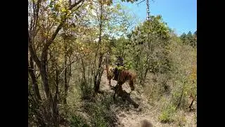 マウンテンライディング　Y　4月　2021年 サウスヒルステーブル　乗馬　ウェスタン　霧島　鹿児島　宮崎　カウボーイ