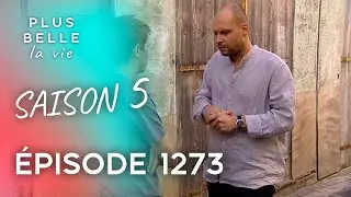 Saison 5, &Eacute;pisode 1273 - PLUS BELLE LA VIE | Dominique sert d'app&acirc;t...