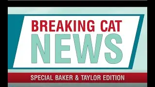 Breaking News: CATS Series for CATS customers!