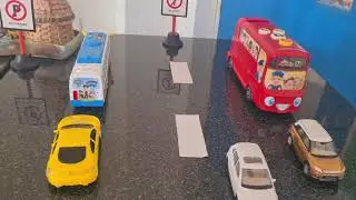 TRANSPORT ACTIVITY