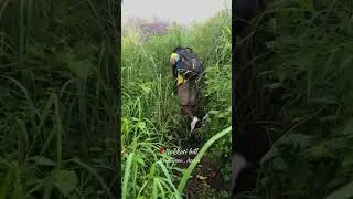 The best view comes after the hardest climb. Nakkati hill, Bongaigaon,Assam