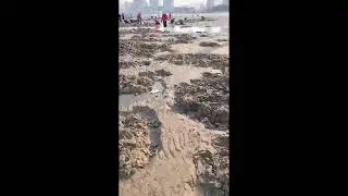 &bull; Unexpected Huge Catch on Light Tackle | ライトタックルにまさかの大物 | 2026-01-08 18:57:25