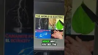 The Hidden Reality: Red and Blue in the Physical World