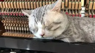 [HABURU] 3 легких видео для эффективного рабочего дня