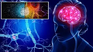 Brain Power Unleashed: How Positivity Rewires Your Mind for Success