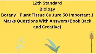 TN 12th Botany Plant Tissue Culture 50 Important 1 Marks Questions With Answers Book Back Creative