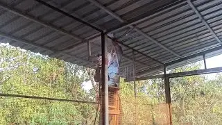 Winching 