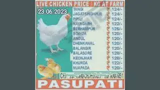 Today Chicken price#Today Suguna Pasupati vencobb Odisha poultry Paper Rates#23.06.2023#Live Chicken