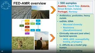 FED AMR  - The role of free extracellular DNA in dissemination of antimicrobial resistance
