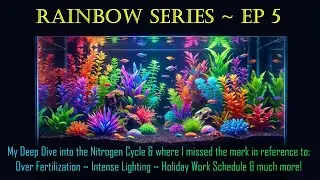 Nitrogen Cycle at 8 Weeks ~ Budget Build Reality Check