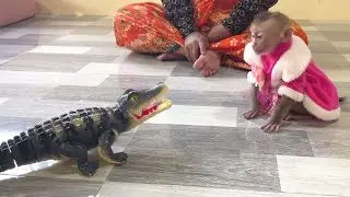 Jessa Unbelieve And Confident Talk With Active Crocodile