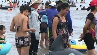 Sầm Sơn 8
