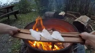 Buzz Bomb Life - Cedar Plank Rock fish Catch and Cook