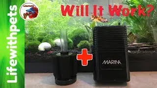 Testing A Battery Powered Air Pump with a Sponge Filter