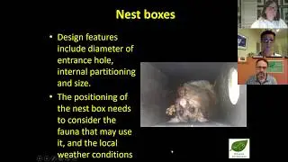 Nestbox Neighbours - online webinar 26 May 2020