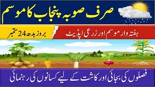 Next 07 Days Weather & Pakistan Agriculture Safety | Weather & Agricultural Update For This Week