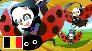Nin Nin Belgium┃#babyninnin┃#ONIBALL┃cartoon┃#jakeohama