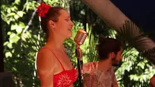 Strong my roots - Osho song
