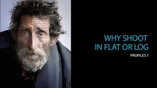 Why shoot in a LOG  mode?