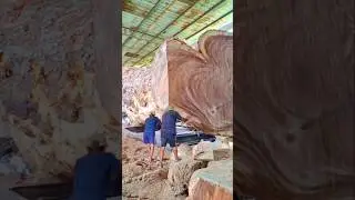 the biggest challenge the saw faces is facing giant logs #shorts #trending #youtube