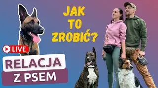 Jak zbudować dobrą RELACJĘ z psem?