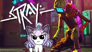 I like our new robot friends 🤖 - Stray
