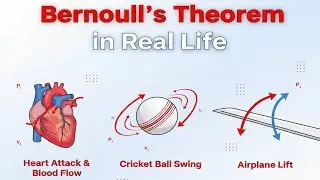 Real Life Applications of Bernoulli&rsquo;s Theorem | Heart Attack, Blood Flow, Magnus Effect & More