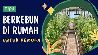 5 Tip Berkebun di Rumah untuk Pemula &ndash; Halaman Sempit Bukan Kendala