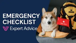 Dog & Cat Emergency Kit Checklist for Natural Disasters and Pet Emergencies