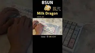 🧀치즈v2 대신 데려온 망나뇽 스위치, BSUN MILK DRAGON LINEAR SWITCH