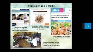 EC147 Milenko A  Aguilera: Theraphosidae from Chile: challenges for its protection and conservation