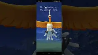 Shiny Ho-Oh
