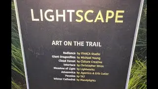 Lightscape Dec 2025