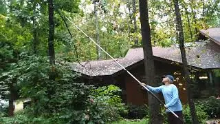 Docapole tree trimmer