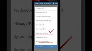 Yanhua Mini ACDP Add BMW F series BDC Key via OBD(DoIP Method)