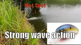 【Bass Fishing】Crankbaits with strong wave action on rainy days【RAID JAPAN】