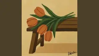 Tulipanes