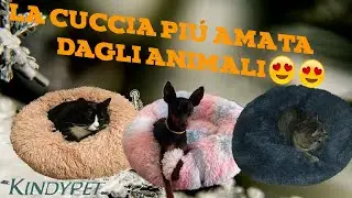 😻Cuccia ultra morbida 