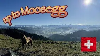 up to Moosegg in #emmental🇨🇭🤗