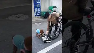 Макс хочет сидеть на переднем сиденье! 😁🥰